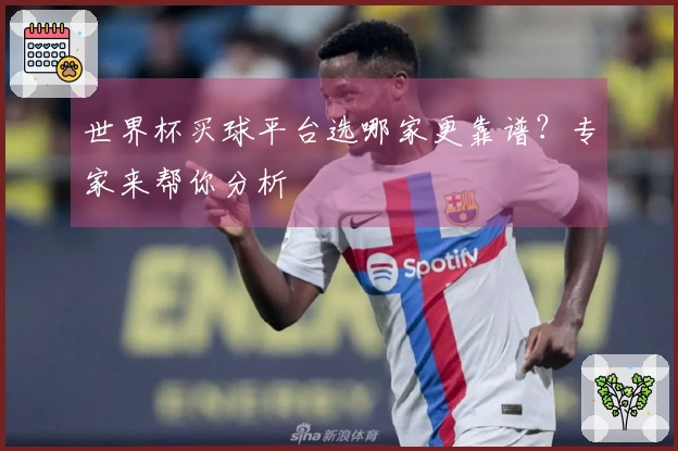 世界杯买球平台选哪家更靠谱？专家来帮你分析